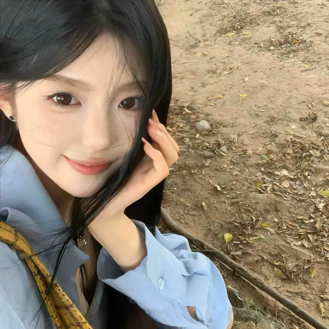 最后的飞行